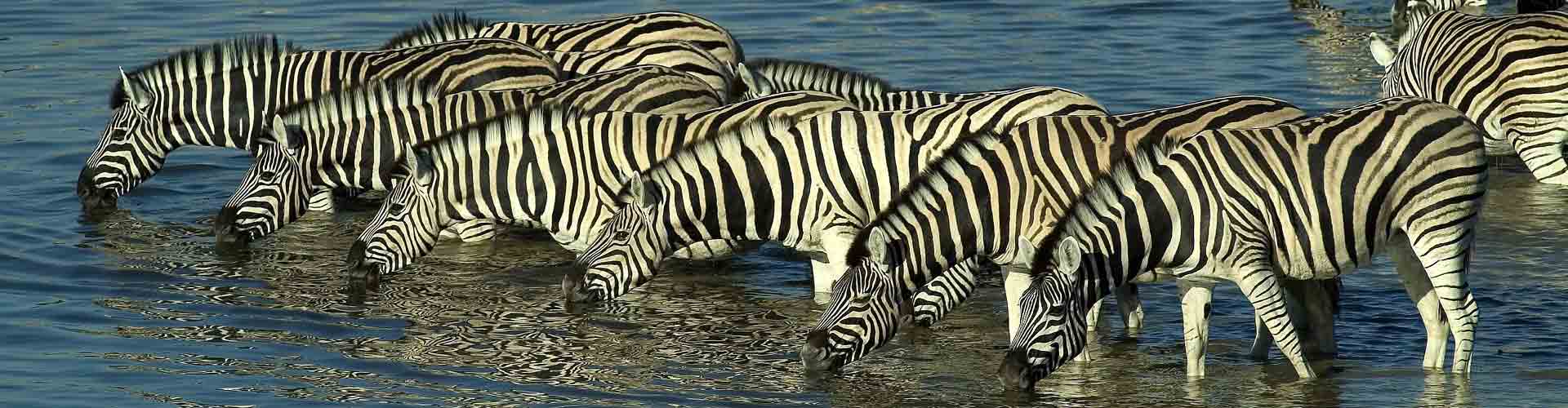 Famous Tours and Safaris
