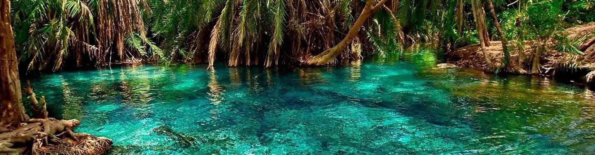 Famous Tours and Safaris